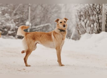 Besondere Lissy sucht ihre Menschen