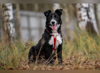 Lebensfrohe Marfa sucht ihre Familie