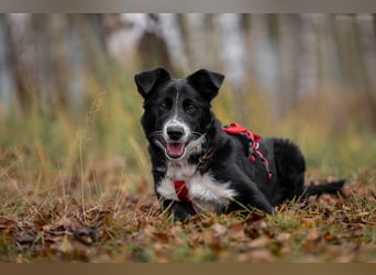 Lebensfrohe Marfa sucht ihre Familie