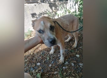 Olli ein Senior für Senioren