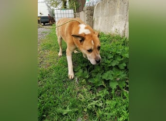 Olli ein Senior für Senioren