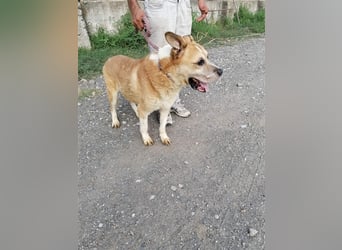 Olli ein Senior für Senioren