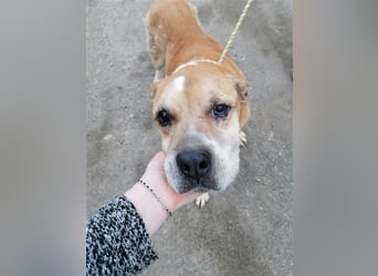 Olli ein Senior für Senioren