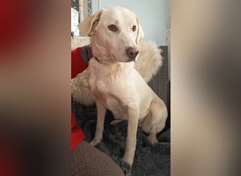 Fröhlich und temperamentvoll - Erika