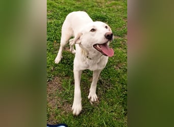 Fröhlich und temperamentvoll - Erika