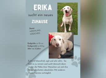 Fröhlich und temperamentvoll - Erika