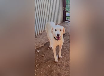 Fröhlich und temperamentvoll - Erika