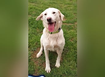 Fröhlich und temperamentvoll - Erika