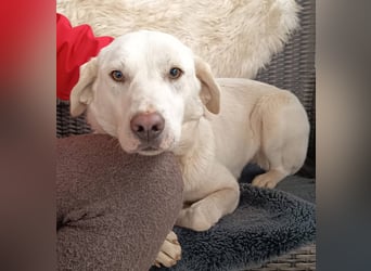 Fröhlich und temperamentvoll - Erika