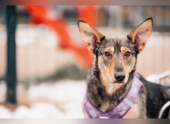 Besondere Miranda sucht ihre Familie