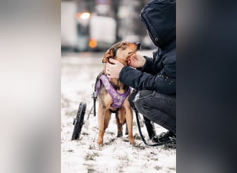 Besondere Miranda sucht ihre Familie