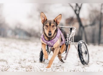 Besondere Miranda sucht ihre Familie