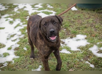 PAX - ich freue mich schon sooooo sehr auf mein eigenes Zuhause!