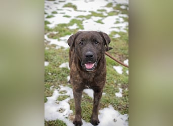 PAX - ich freue mich schon sooooo sehr auf mein eigenes Zuhause!