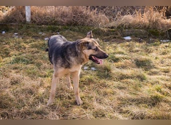 NANDO - ich möchte so gerne ankommen und das Leben in einer Familie genießen...