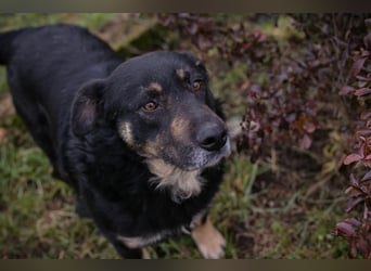 JÜRGEN - ich freue mich darauf, mit meinen Menschen die Welt zu entdecken!