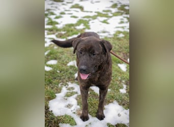 PAX - ich freue mich schon sooooo sehr auf mein eigenes Zuhause!