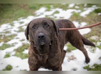 PAX - ich freue mich schon sooooo sehr auf mein eigenes Zuhause!