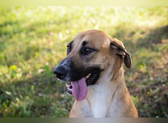 NISHA - Na, wollen wir es zusammen einmal versuchen? Ich bin bereit für meine Menschen!