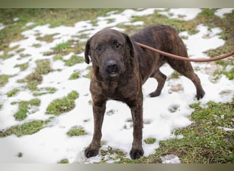 PAX - ich freue mich schon sooooo sehr auf mein eigenes Zuhause!