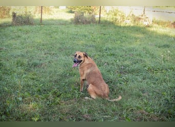 NISHA - Na, wollen wir es zusammen einmal versuchen? Ich bin bereit für meine Menschen!