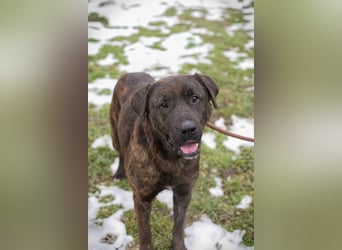 PAX - ich freue mich schon sooooo sehr auf mein eigenes Zuhause!