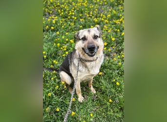 NANDO - ich möchte so gerne ankommen und das Leben in einer Familie genießen...