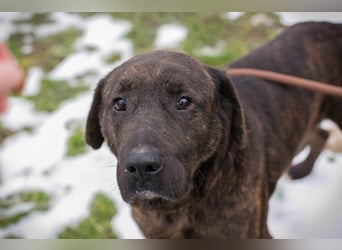 PAX - ich freue mich schon sooooo sehr auf mein eigenes Zuhause!