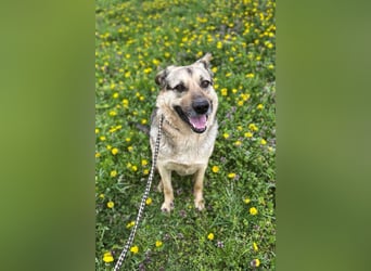 NANDO - ich möchte so gerne ankommen und das Leben in einer Familie genießen...