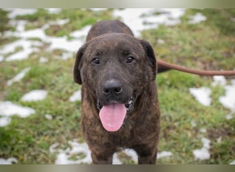 PAX - ich freue mich schon sooooo sehr auf mein eigenes Zuhause!