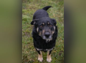 JÜRGEN - ich freue mich darauf, mit meinen Menschen die Welt zu entdecken!