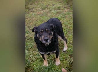 JÜRGEN - ich freue mich darauf, mit meinen Menschen die Welt zu entdecken!