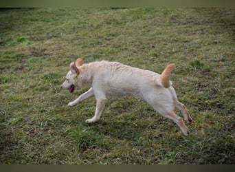 CAMILLA - das hübsche Mädchen wartet sehnsüchtig auf ein eigenes Für-Immer Zuhause