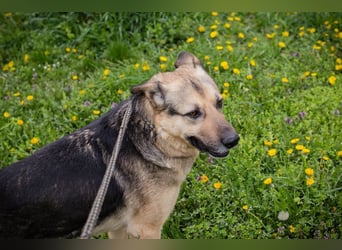 NANDO - ich möchte so gerne ankommen und das Leben in einer Familie genießen...