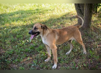 NISHA - Na, wollen wir es zusammen einmal versuchen? Ich bin bereit für meine Menschen!