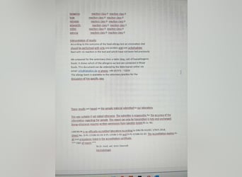 JAX - wer zeigt dem gemütlichen, zugänglichen und braven Rüden, wie schön das Leben sein kann?