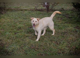 CAMILLA - das hübsche Mädchen wartet sehnsüchtig auf ein eigenes Für-Immer Zuhause