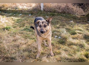 NANDO - ich möchte so gerne ankommen und das Leben in einer Familie genießen...