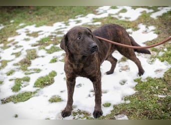 PAX - ich freue mich schon sooooo sehr auf mein eigenes Zuhause!