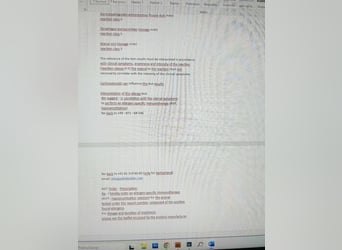 JAX - wer zeigt dem gemütlichen, zugänglichen und braven Rüden, wie schön das Leben sein kann?