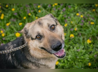 NANDO - ich möchte so gerne ankommen und das Leben in einer Familie genießen...