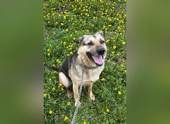 NANDO - ich möchte so gerne ankommen und das Leben in einer Familie genießen...