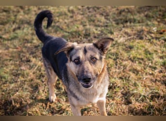 NANDO - ich möchte so gerne ankommen und das Leben in einer Familie genießen...