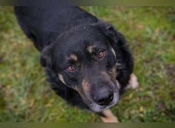 JÜRGEN - ich freue mich darauf, mit meinen Menschen die Welt zu entdecken!