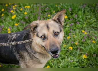 NANDO - ich möchte so gerne ankommen und das Leben in einer Familie genießen...