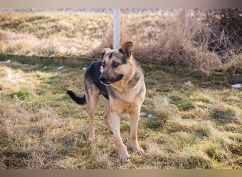 NANDO - ich möchte so gerne ankommen und das Leben in einer Familie genießen...