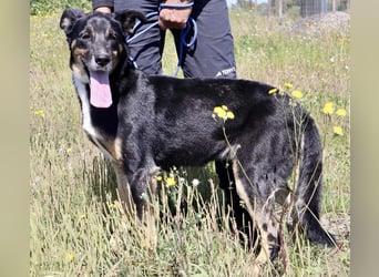 MaMa ❤️ MiMi hat sich aufopferungsvoll gekümmert ~  nun soll auch sie ihr Glück finden