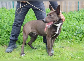 Powerlady Lindinha ❤️ liebt Katzen und Menschen