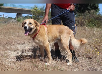 Lieblingsbeschäftigung Kuscheln ❤️ Robina ❤️