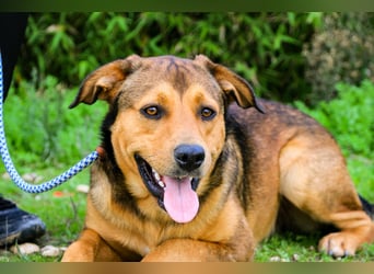 Freundlich – Sanft – Unkompliziert = • P•E•P•E •